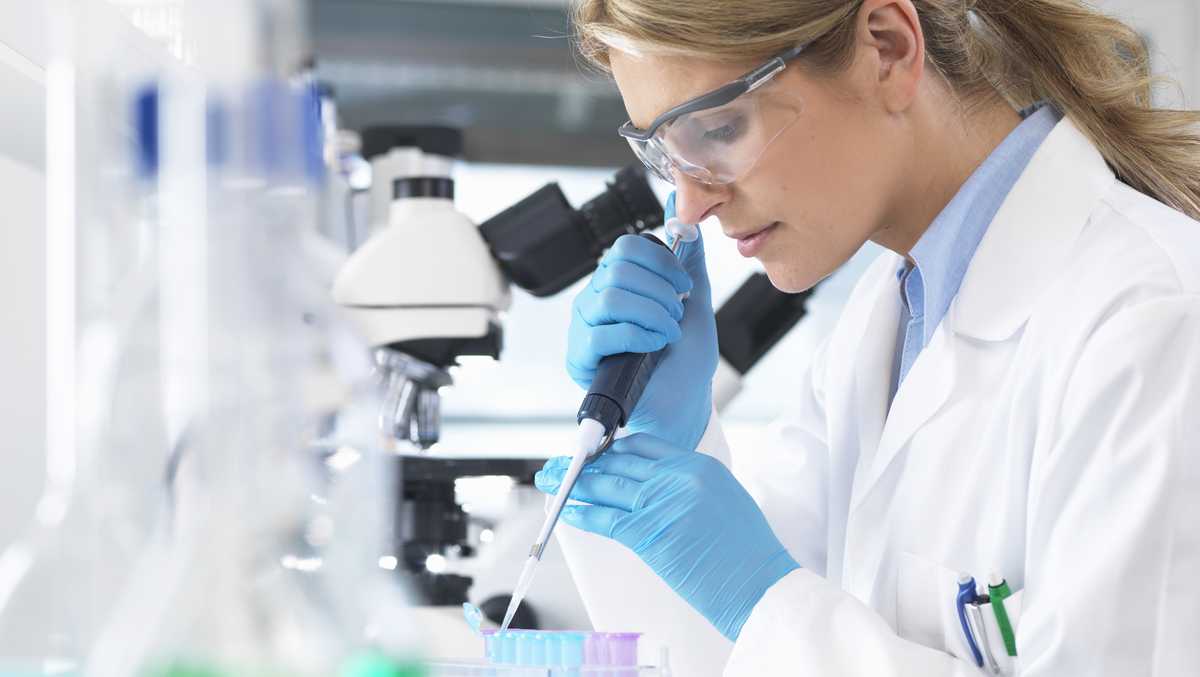 Today in History May 16 Human stem cells successfully cloned