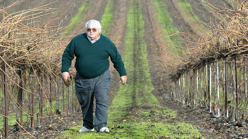 Fred Franzia is the brain behind Charles Shaw–brand wine, also affectionately known as Two–Buck Chuck, which is sold only at Trader Joe s stores and is still selling like hotcakes. Franzia walks in his vineyard in Lodi, Calif.