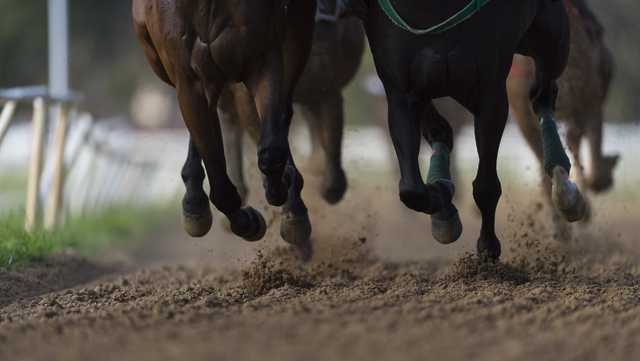 Pa. man arrested in fire that killed more than two dozen horses at New York racetrack - Vimarsana News