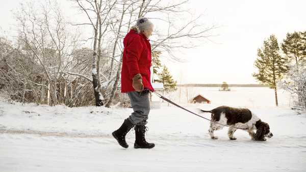 senior woman walking dog