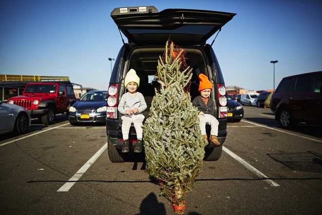 Two boys with Christmas Tree in parking lot