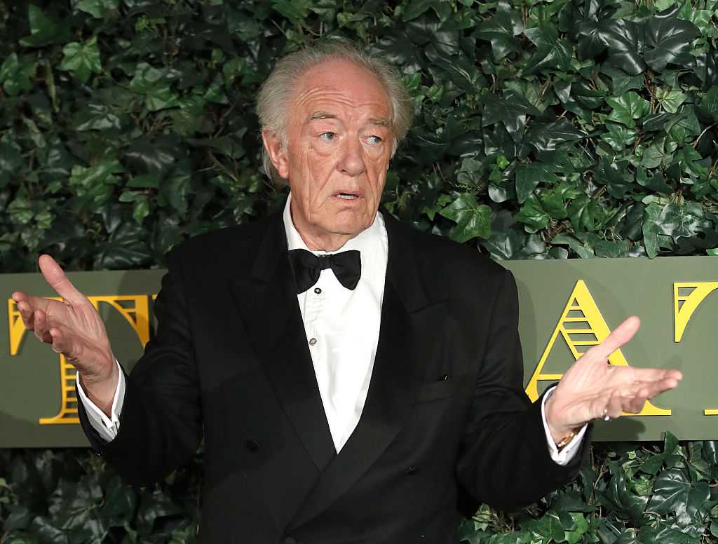 Michael Gambon, veteran actor who played Dumbledore in 'Harry Potter'  films, dies at age 82 - ABC News