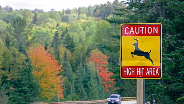 Study: Permanent daylight saving time would reduce deer crashes - Vimarsana News