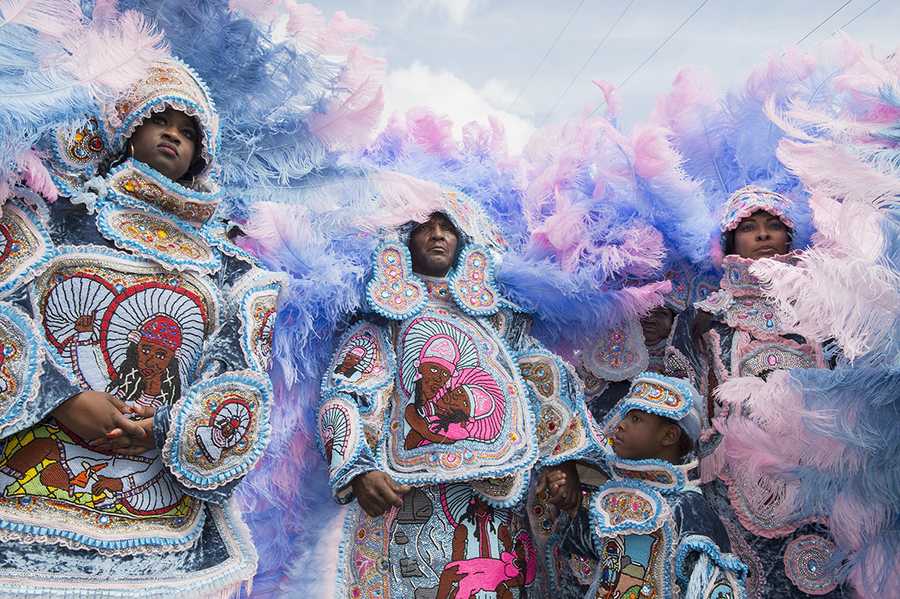 mardi gras indian council