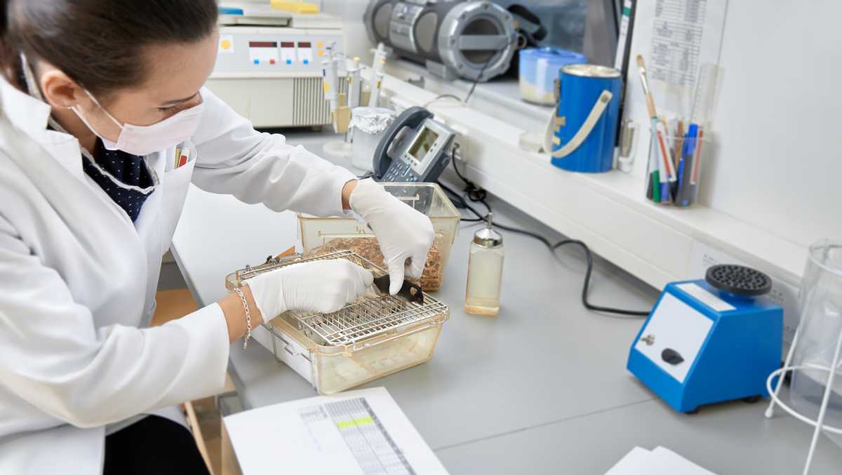 EPA says it will eliminate animal testing by 2035