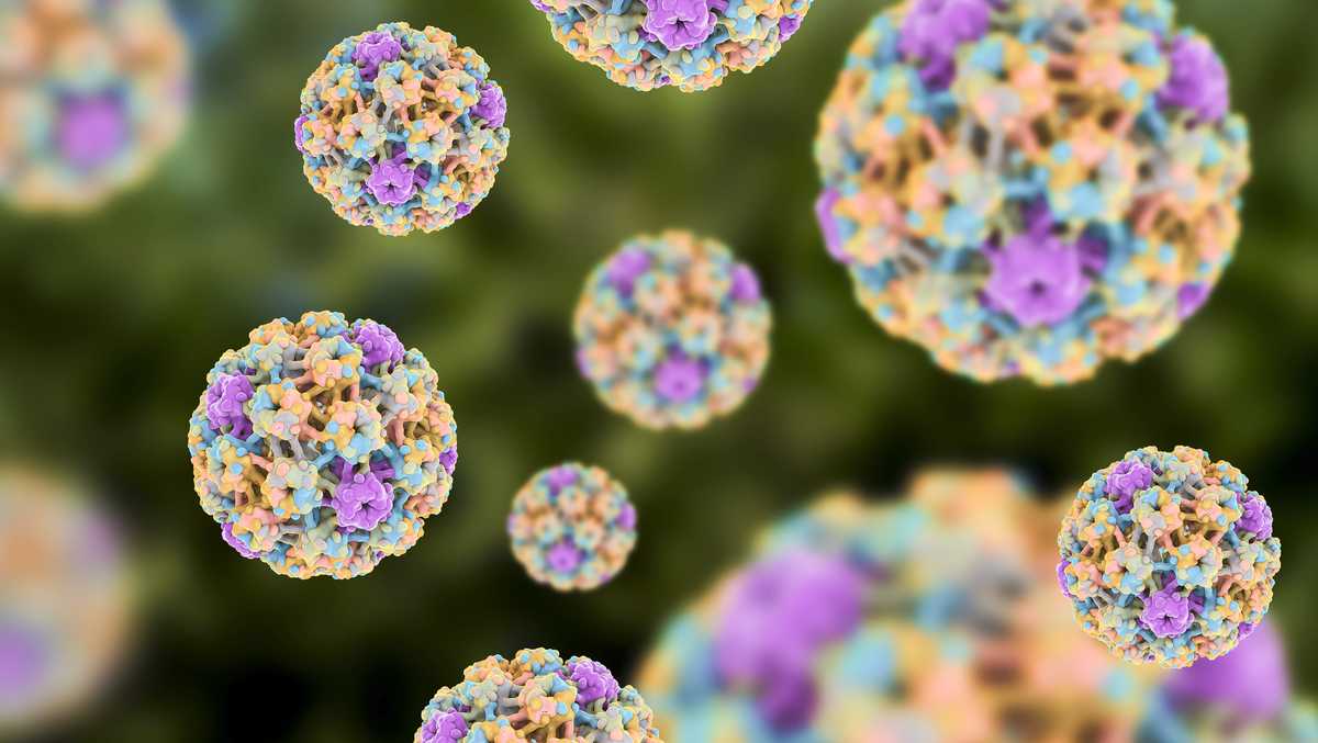 A team of women scientists may be close to finding a cure for HPV