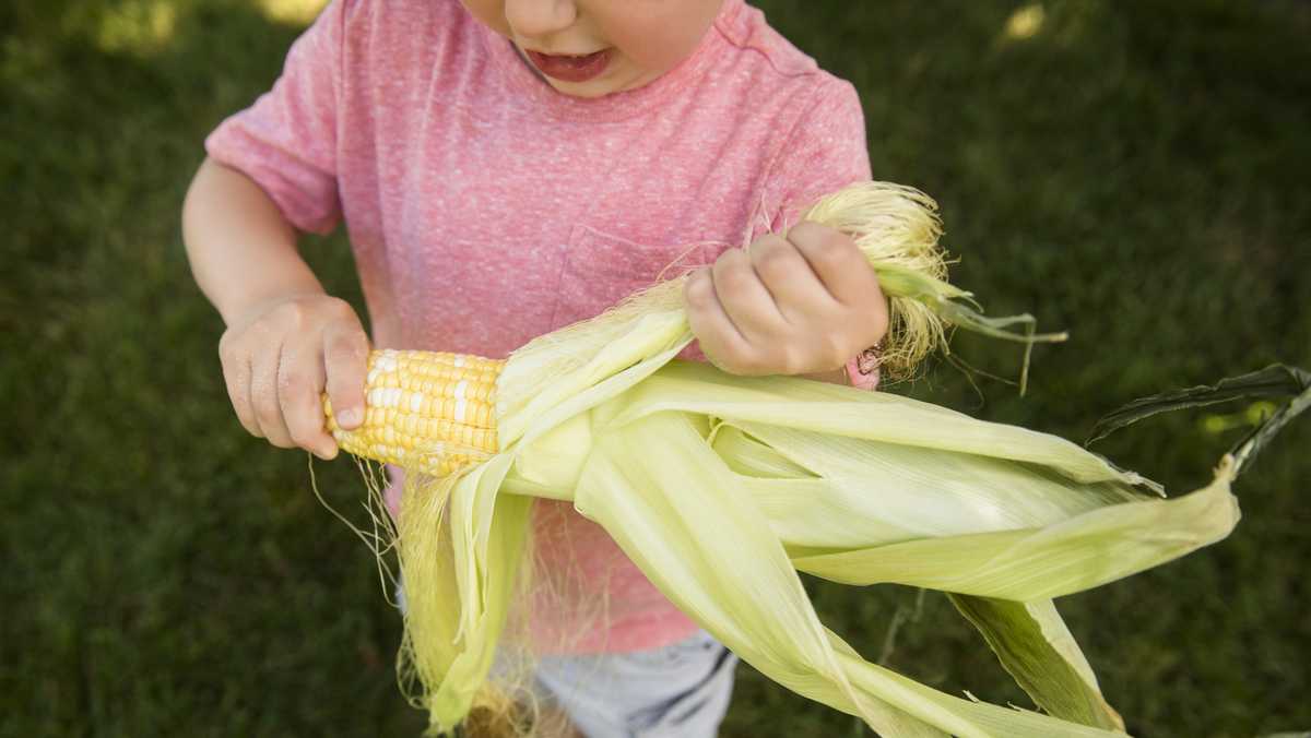 Events in Des Moines Aug. 8-10 - KCCI
