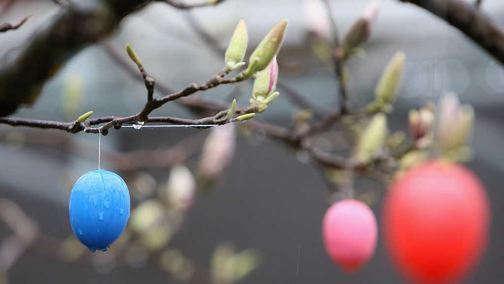 Timeline: Rain and wind could cause flooding, power outages heading into Easter weekend - Vimarsana News