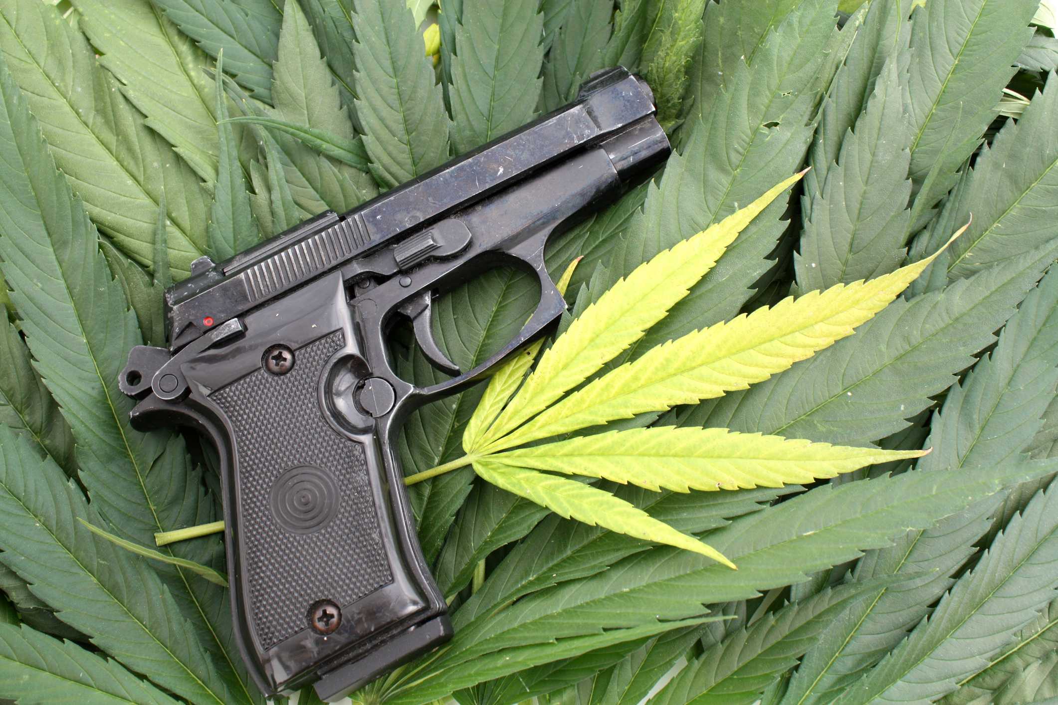 Supreme Court sides with a Texas man who says it’s not a crime for marijuana users to have guns