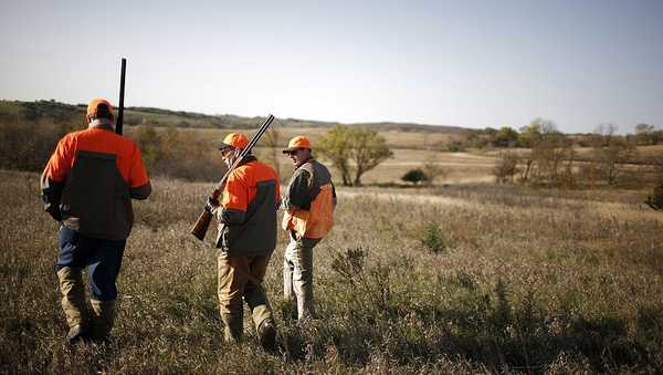 Iowa expects to see between 60,000 and 80,000 hunters for pheasant season, which opens Oct. 26 and runs through Jan. 10, 2025, as the state celebrates nearly 100 years of the popular sport.