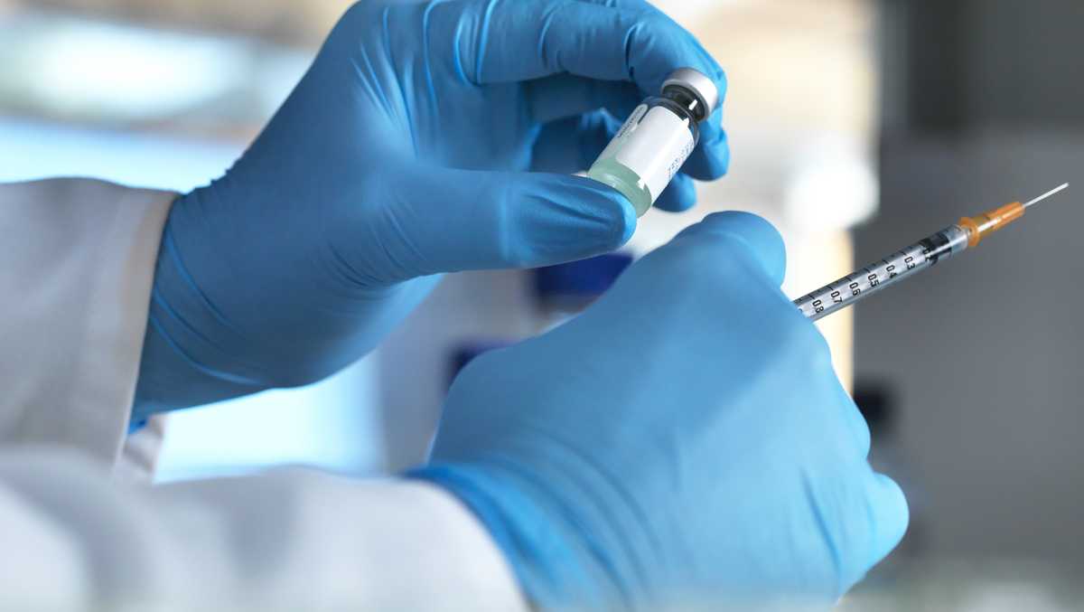 Fatal experiments on dogs continue in VA system as investigation begins
