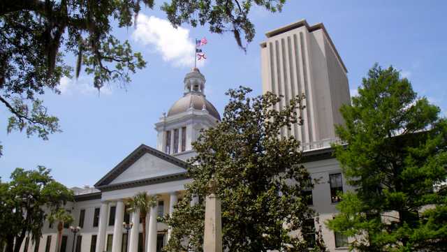 Florida bill would restrict use of pronouns in schools - Vimarsana News