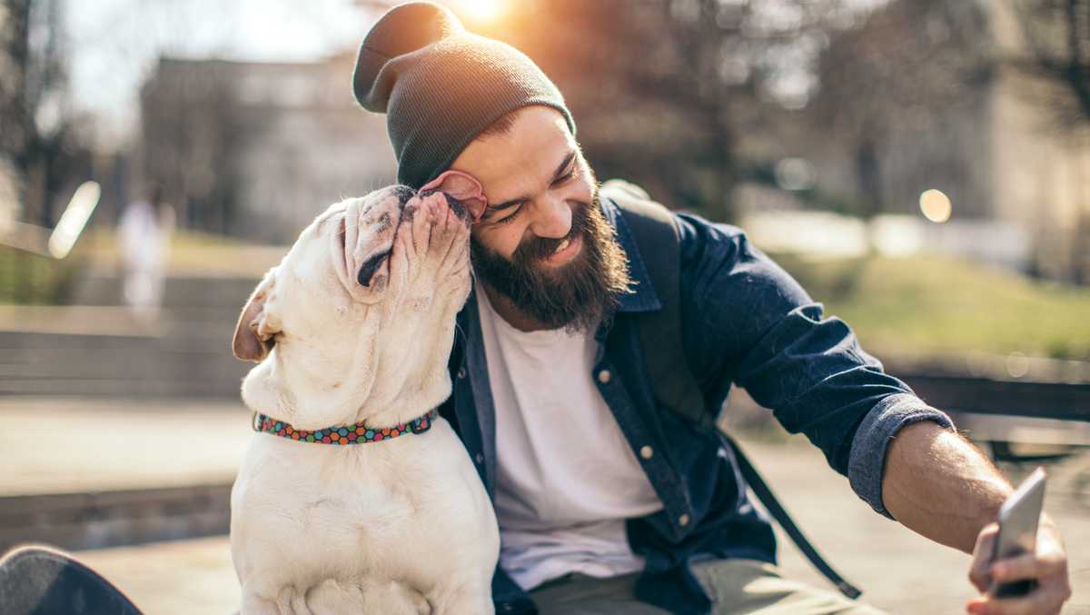 Study Beards carry more bacteria than dogs' fur