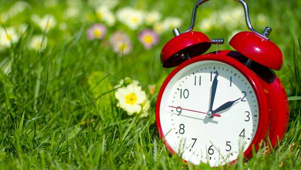 The photo is showing the clock in a floral surrounding.