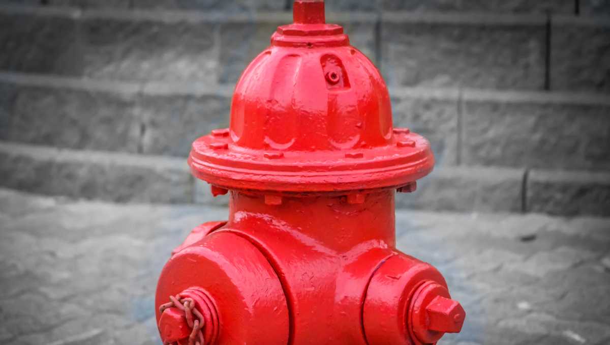 'Let the building burn': Fire company says water authority denies them access to hydrants