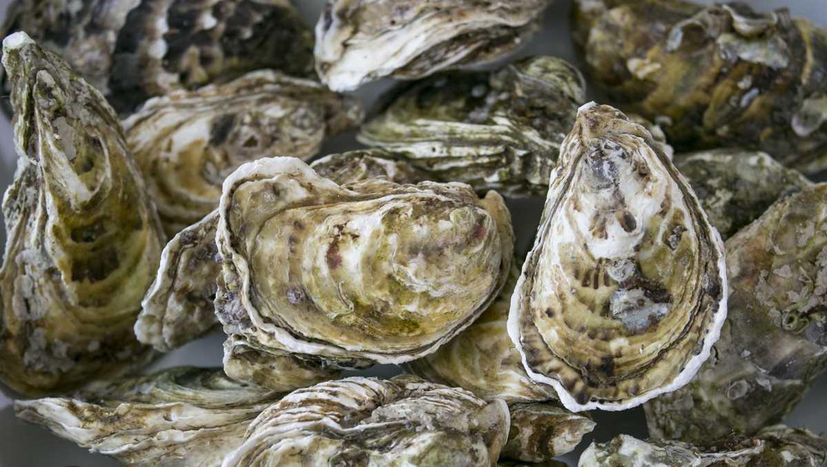 Oysters Sold At Publix Recalled oysters-sold-at-publix-recalled