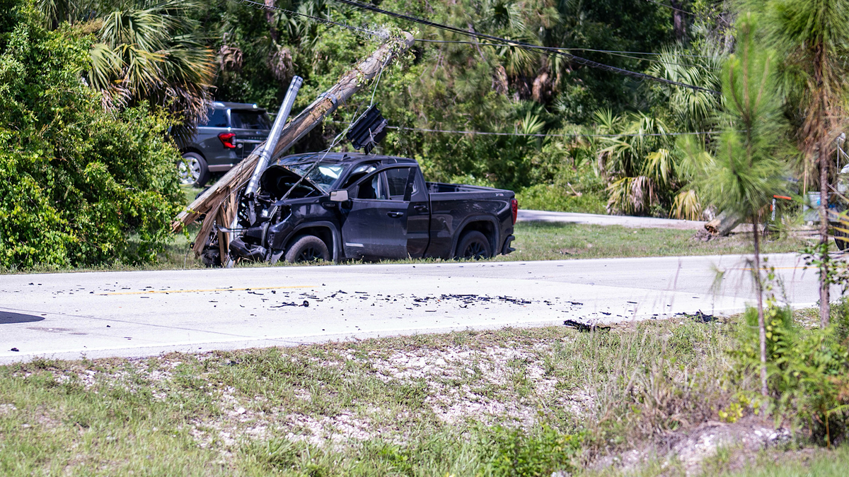 53-year-old man killed in crash with tree and utility pole in Golden ...
