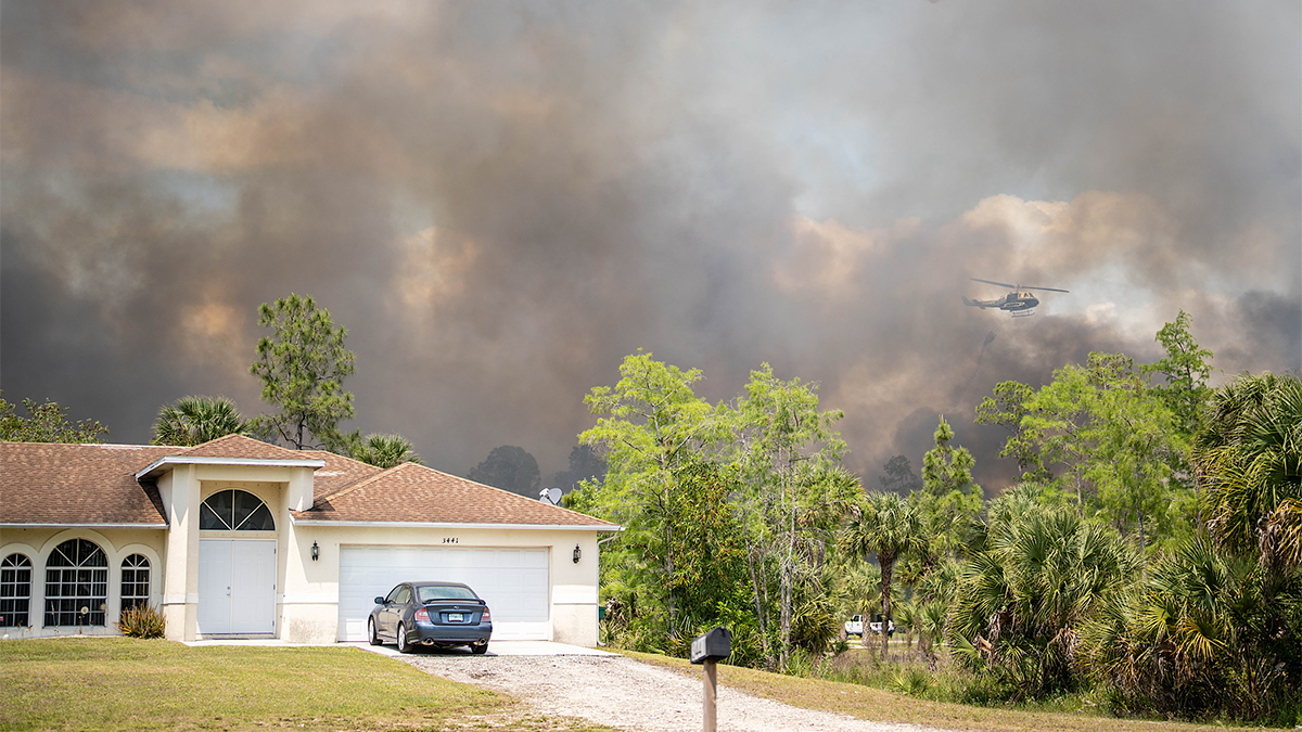 Golden Gate Estates brush fire 100 contained