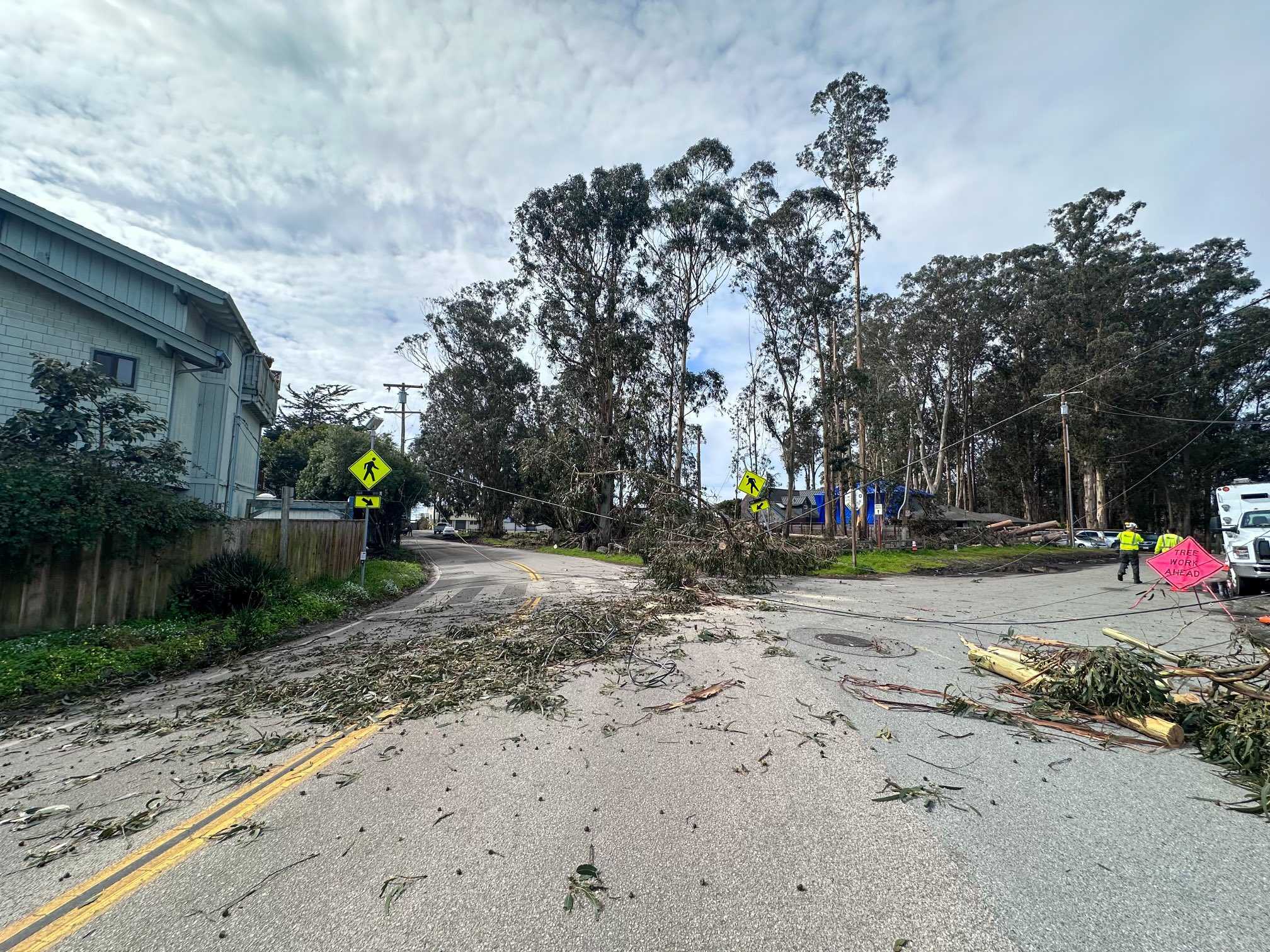 East Cliff Drive closed in Santa Cruz due to downed tree