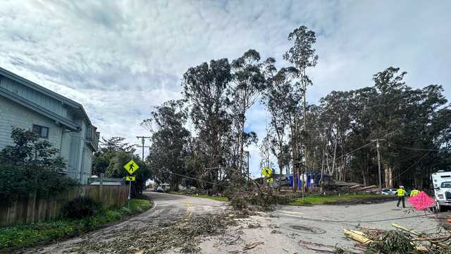 East Cliff Drive closed in Santa Cruz due to downed tree - Vimarsana News