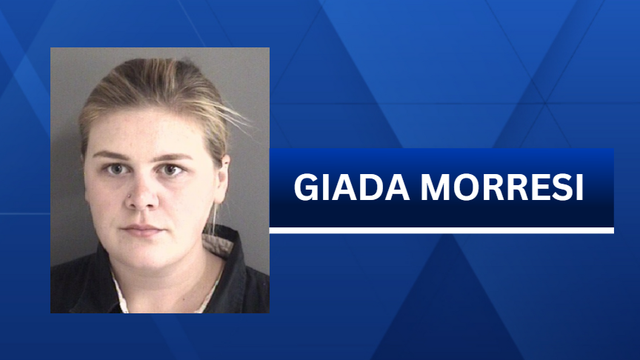 Des Moines woman charged with vandalizing 15 ﻿﻿﻿﻿﻿law enforcement vehicles during Cy-Hawk game - Vimarsana News