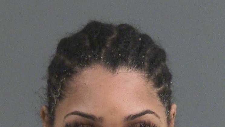 Stolen tags, drugs found after driver passes school bus in South Carolina, police say