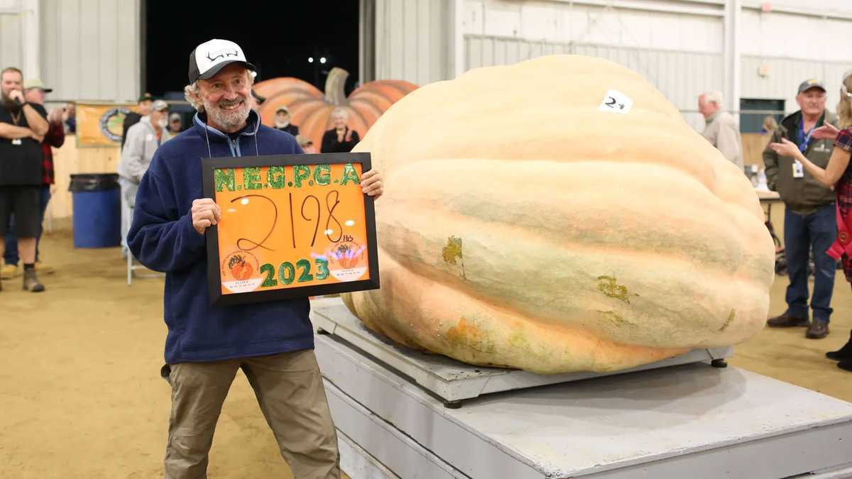 Here's a look at the winner of Topsfield Fair pumpkin weighoff