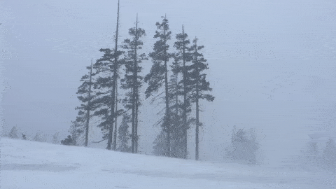 Sierra Snow Caltrans Video GIF Jan. 22, 2017