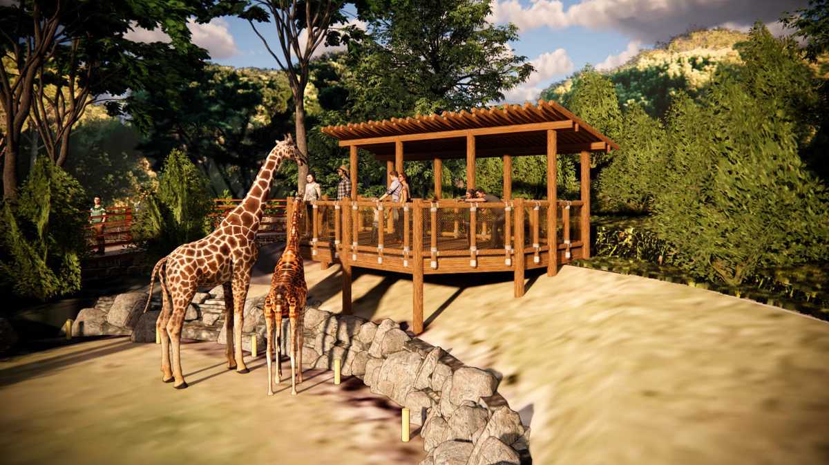 Meet giraffes face-to-face with new experience at Greenville Zoo