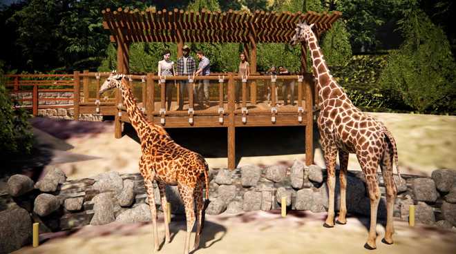 Meet giraffes face-to-face with new experience at Greenville Zoo