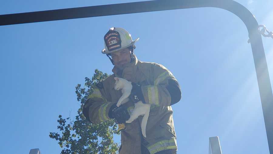 county line volunteer fire department rescues girl and cat from tree