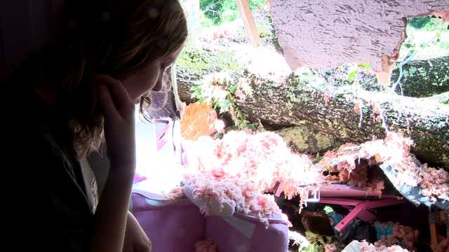 Raymond 11-year-old lucky to be alive after tree goes through roof into her bedroom - Vimarsana News