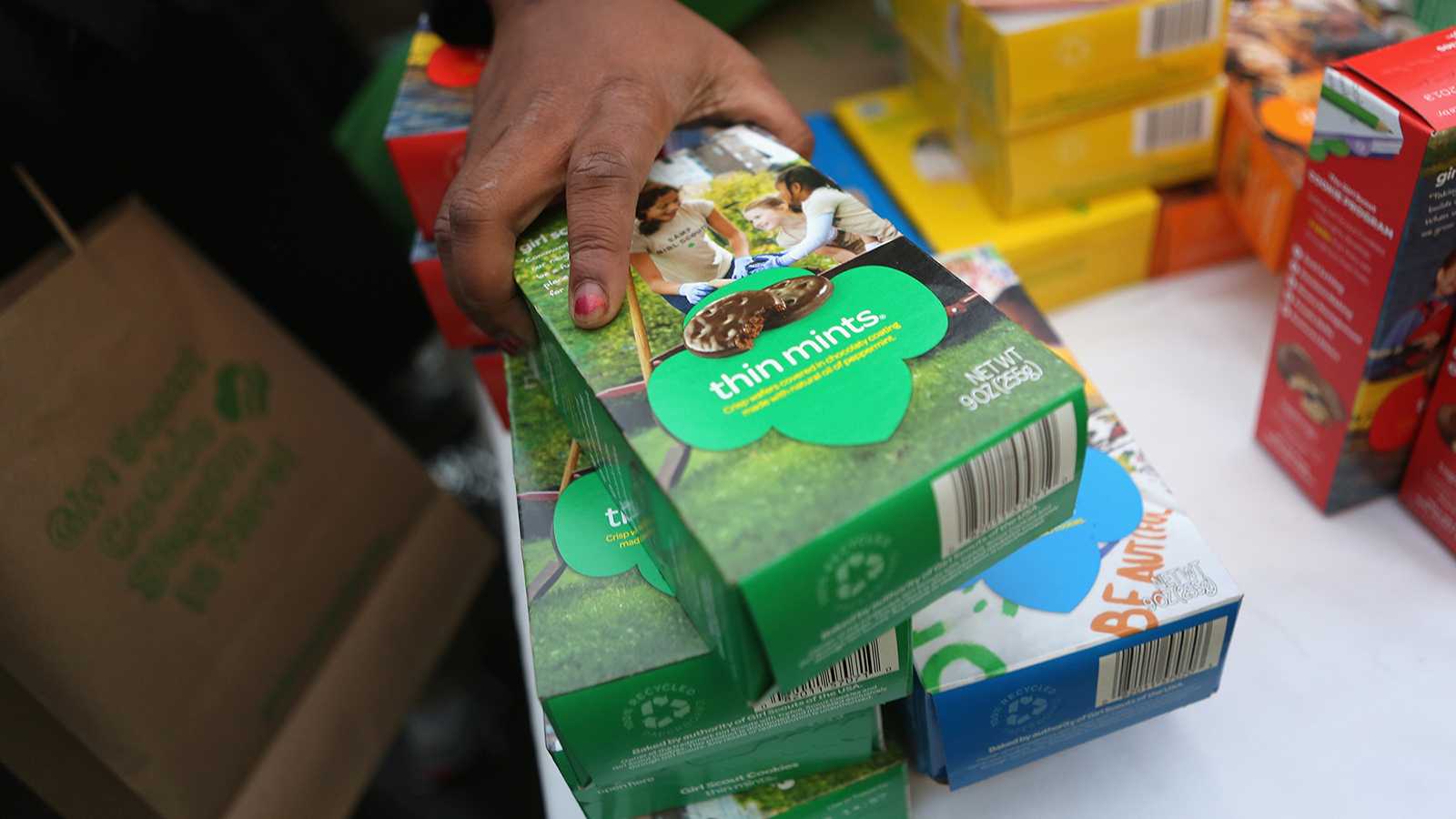 Girl Scout cookie proceeds help bring lost dogs home - Vimarsana News