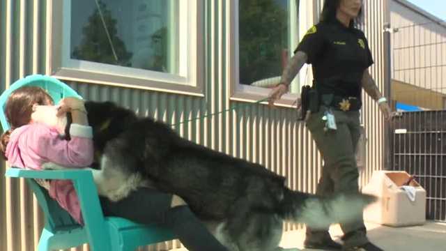 After puppy intentionally run over, killed, Sacramento deputies give 8-year-old new dog - Vimarsana News