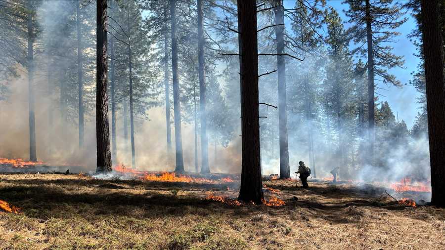 Firefighters complete prescribed burn in Amador County