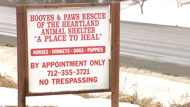 Horse farm in financial hole due to severe cold from winter storm - Vimarsana News