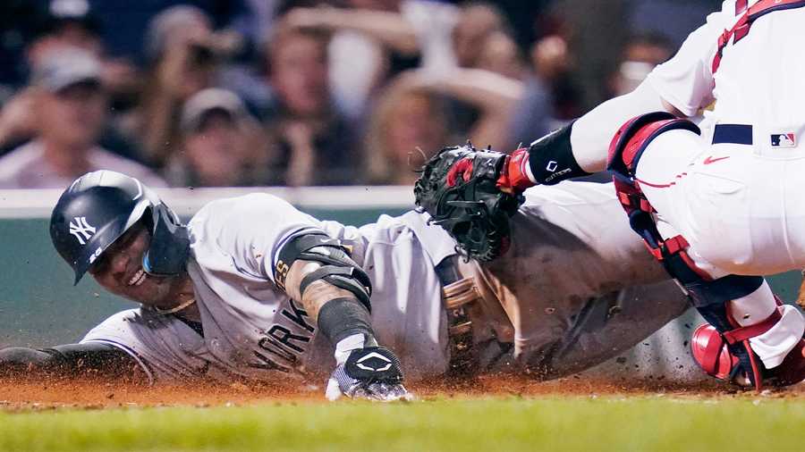 Yankees fan throws ball onto field, hits Boston Red Sox' Alex