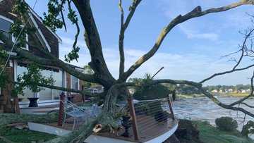 Cleanup underway after storms down trees, knock out power