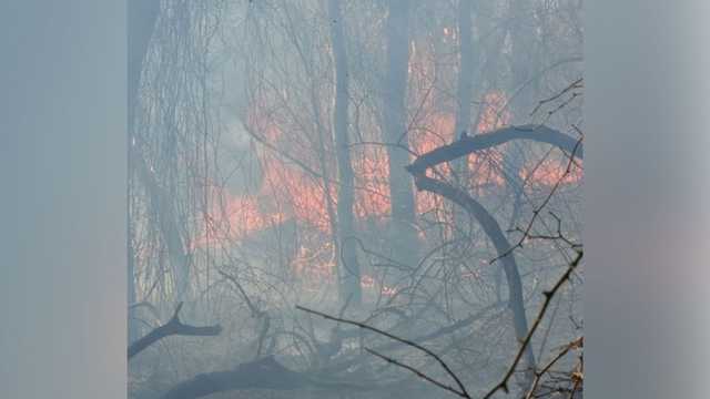 Gloucester brush fire impacts about 30 acres, officials say - Vimarsana News