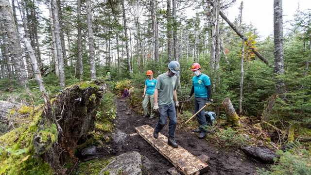 Green Mountain Club plans revitalization of Camel's Hump Trail - Vimarsana News