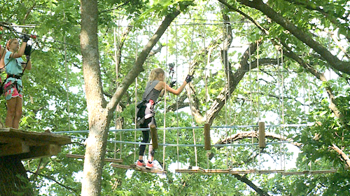 ape