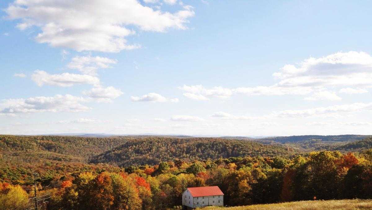 Laurel Highlands nominated for 'Best Destination for Fall Foliage'
