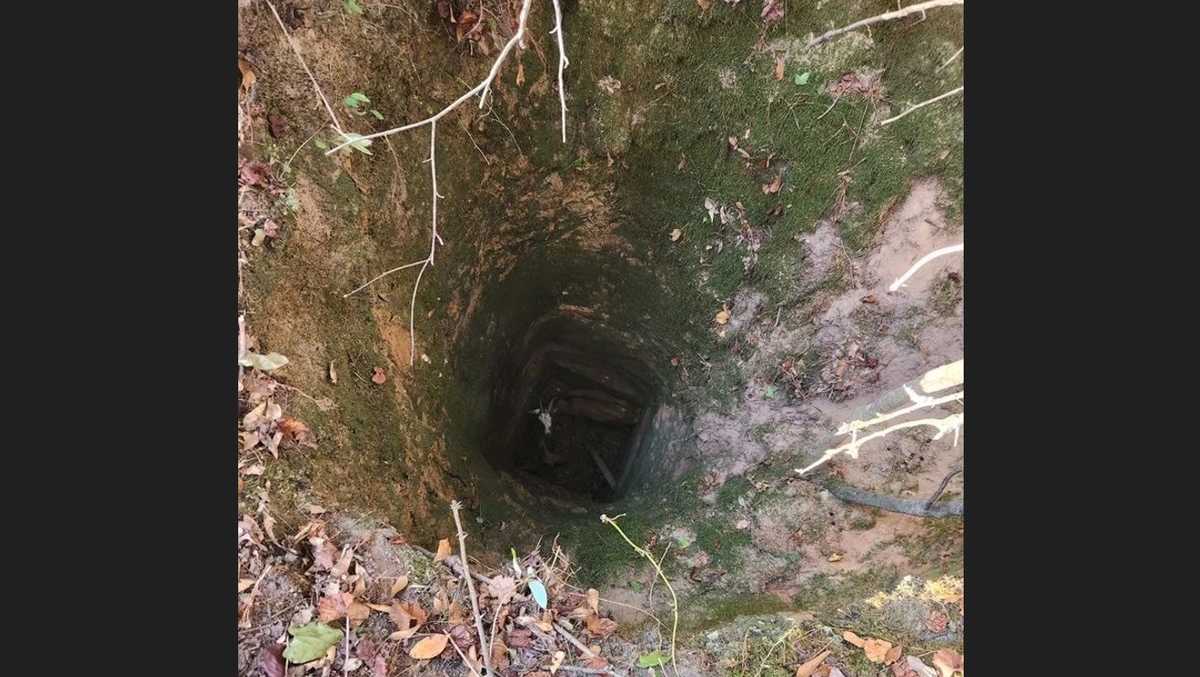 Pregnant goat rescued from deep well in Alabama