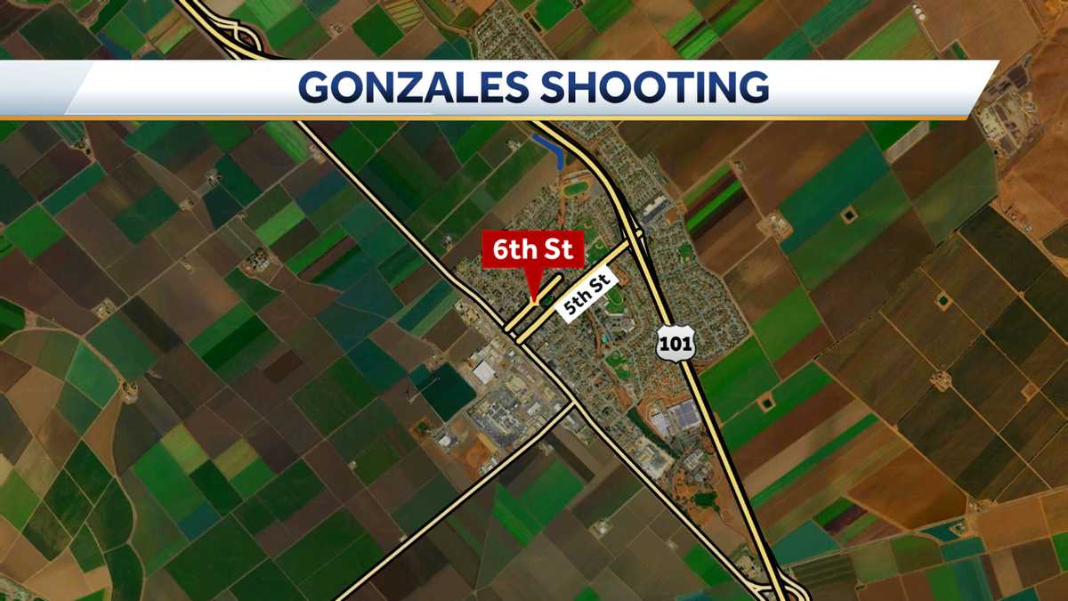 Gonzales shooting hospitalizes 1 person GPD