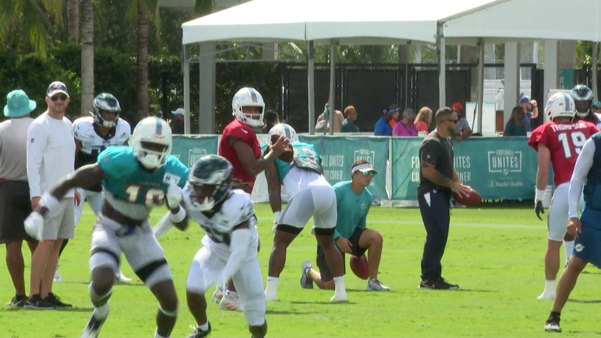 Dolphins host Eagles for joint practices