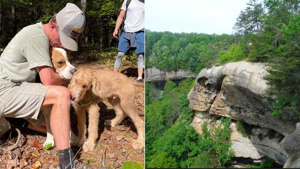 dog rescued from red river gorge by wolfe county search and rescue team