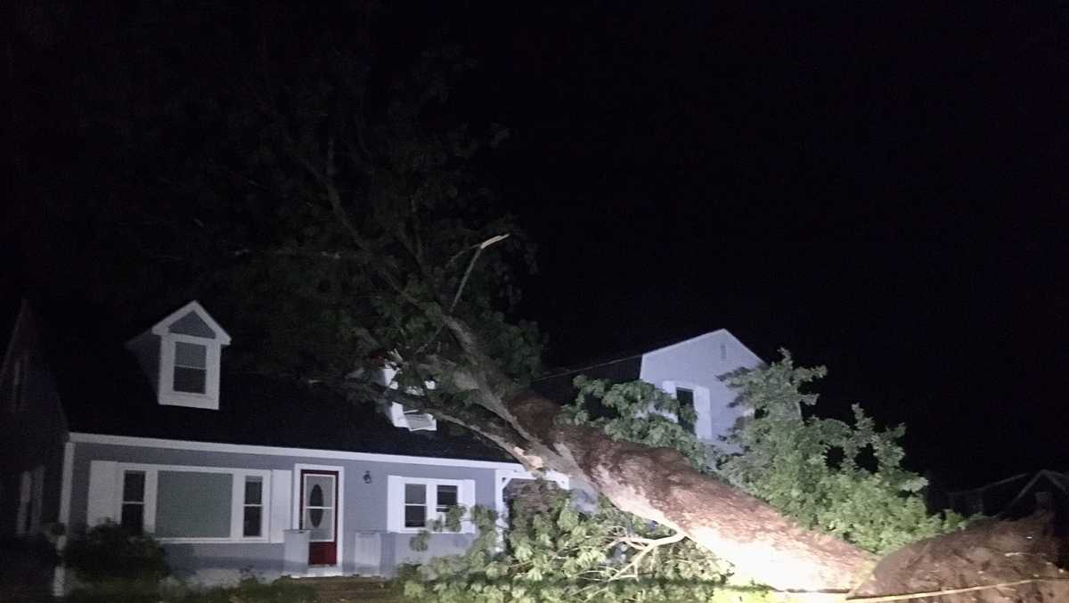 Tree falls on Gorham home during storm