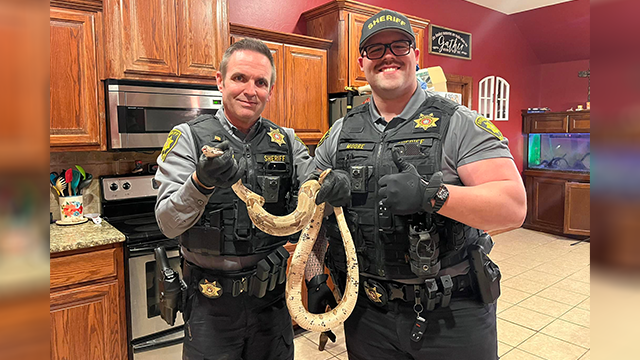 'Out of our comfort zone': Deputies capture large snake at Grady County home