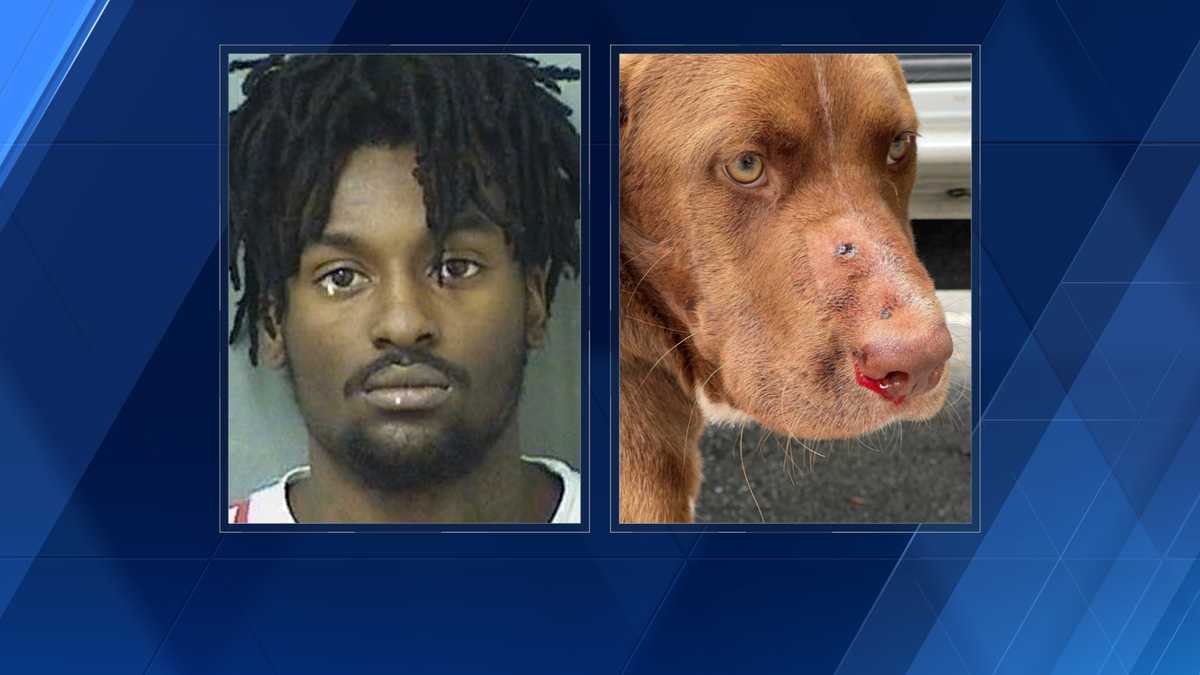 Deputies arrest for man who shot dog in Florida park
