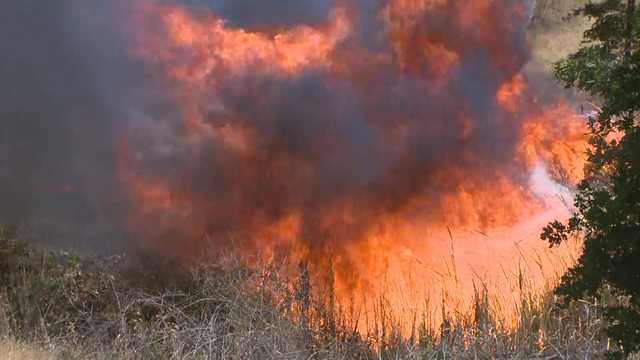 Wildfires burned double the average acreage for this time of year - Vimarsana News